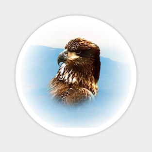 Eagle portrait Magnet